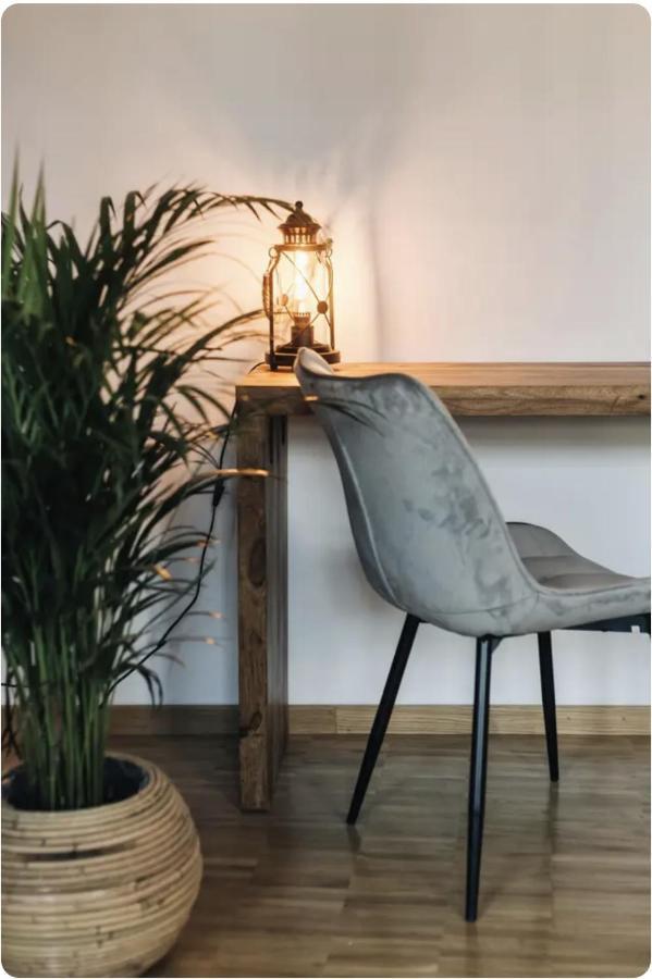 Tip! Zentraler Geht'S Nicht! Premium Apartment In Der Altstadt دريسدن المظهر الخارجي الصورة